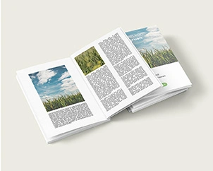 Geöffnetes Fotobuch in A4 mit Naturbildern auf Bücherstapel